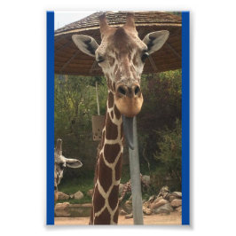 Monkey boy 4X6 Print #2 Fotodruck