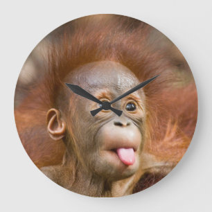 Monkey Clock Große Wanduhr