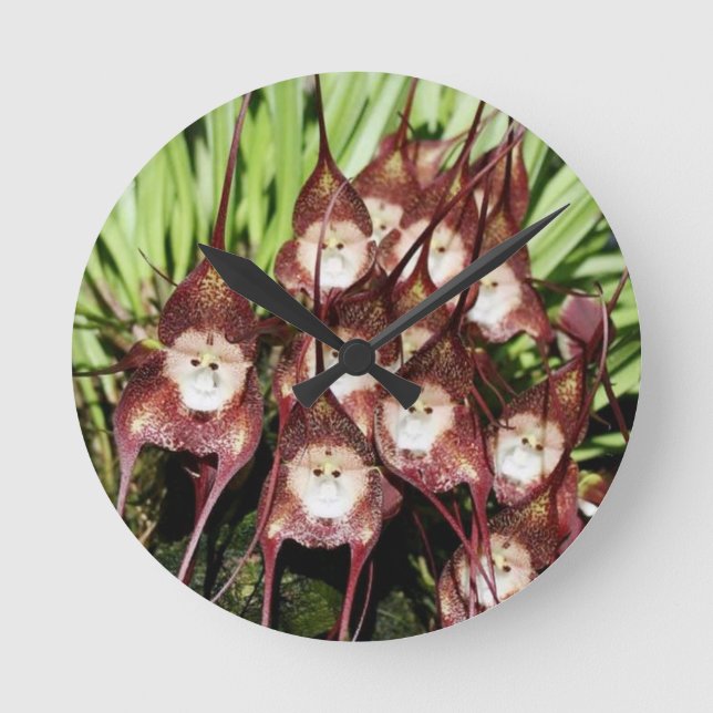 MONKEY FACED FLOWERS .- Miracles of Nature Runde Wanduhr (Vorderseite)
