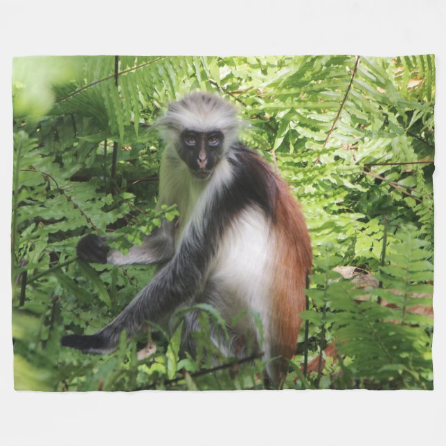 Monkey Fleece Blanket (Vorderseite (Horizontal))