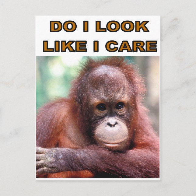 MONKEY FUN POSTKARTE (Vorderseite)
