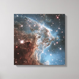 Monkey Head Nebula Leinwanddruck
