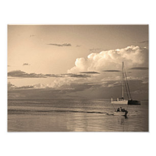 Monkey Mia Fotodruck