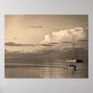 Monkey Mia Poster