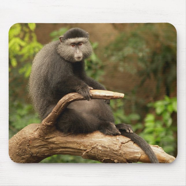 Monkey Mousepad (Vorne)