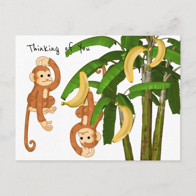 Monkey-Postkarte Postkarte (Vorderseite)
