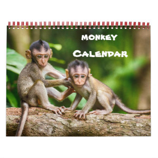 Monkey Primat Vine Welcome Zuhause Destiny Destiny Kalender