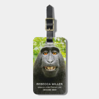 Monkey Selfie