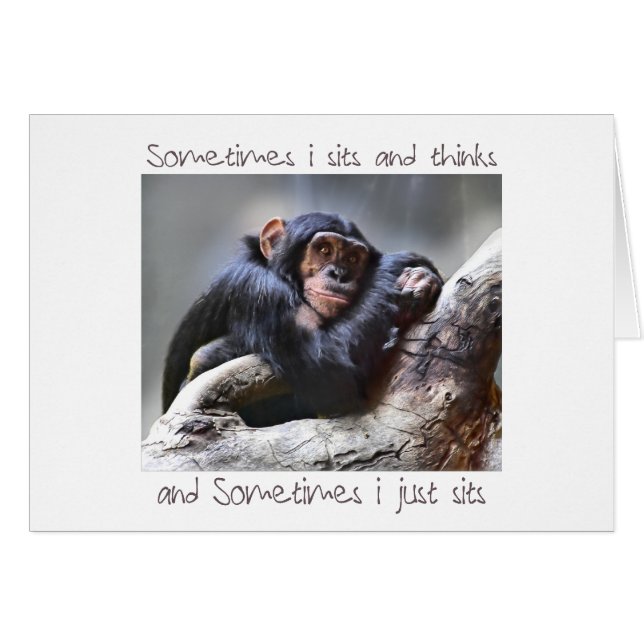 Monkey Sits (Devant horizontal)
