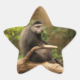 Monkey Star Sticker