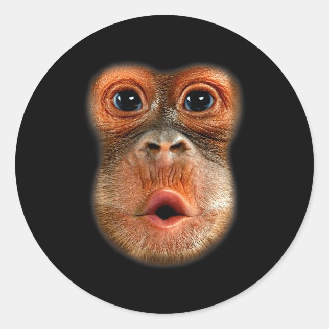 Monkey Stomach Funny Meme Cool Viral Video  Runder Aufkleber (Vorderseite)