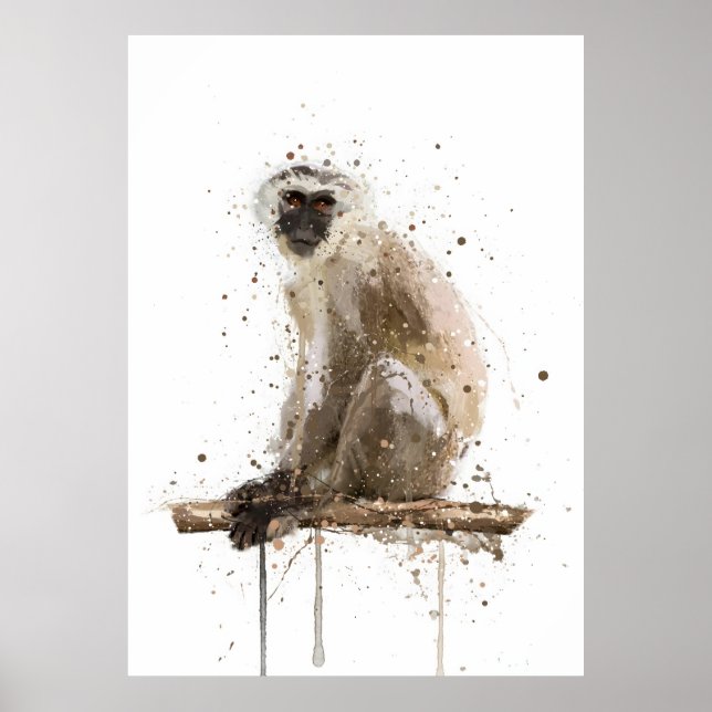 Monkey Vervet Poster (Vorne)