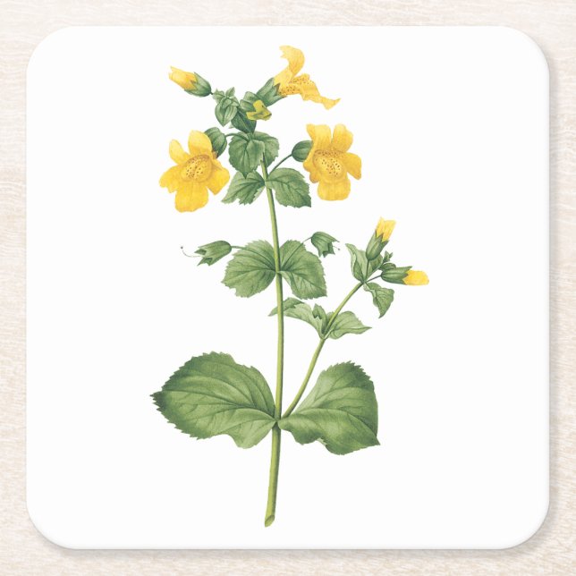 Monkeyblume (Mimulus sp.) von Redouté Rechteckiger Pappuntersetzer (Vorderseite)