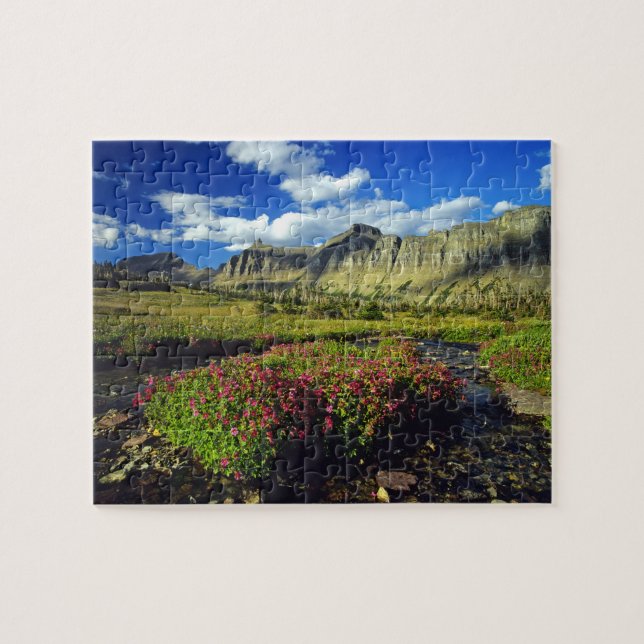 Monkeyblumen am Logan Pass im Gletscher National (Horizontal)