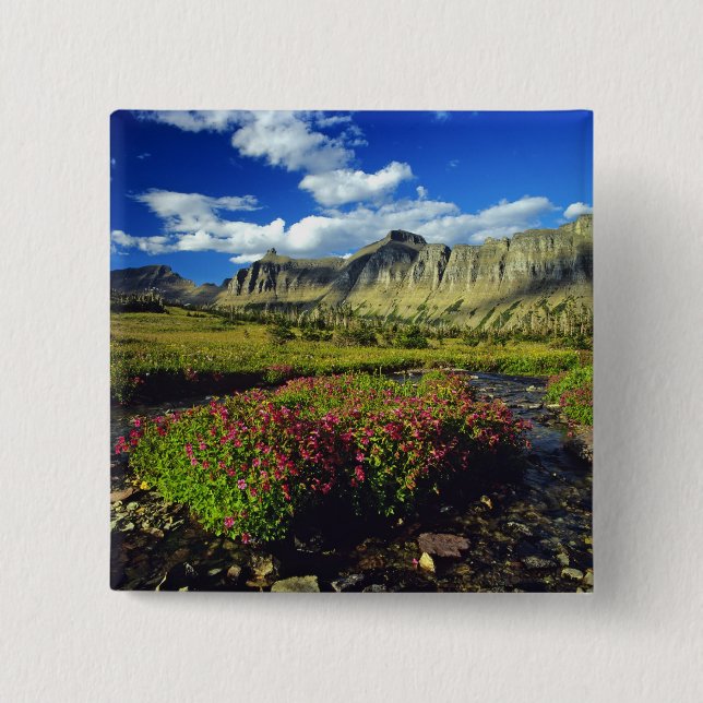 Monkeyblumen am Logan Pass im Gletscher National Button (Vorderseite)