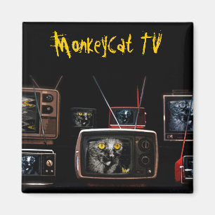 MonkeyCat Fernsehmagnet Magnet