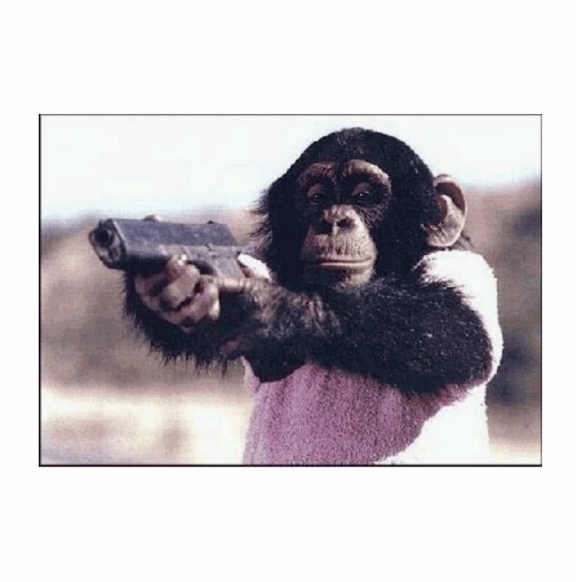 Monkeypistolnewone Freistehende Fotoskulptur (Vorne)