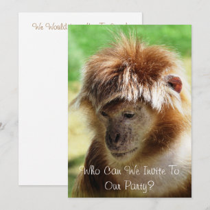 MONKEYS EINLADUNG