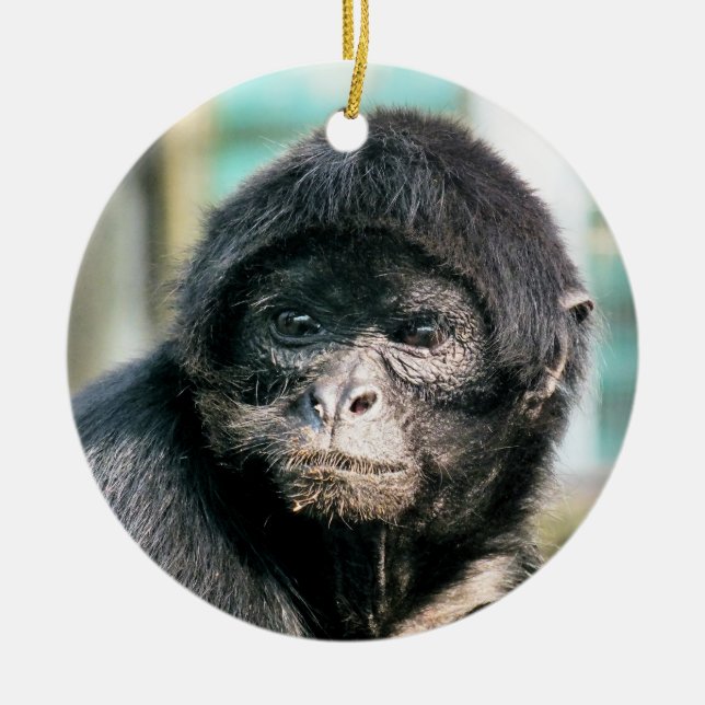 MONKEYS KERAMIK ORNAMENT (Vorne)
