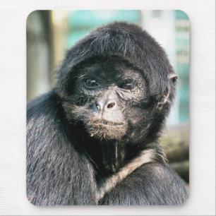 MONKEYS MOUSEPAD