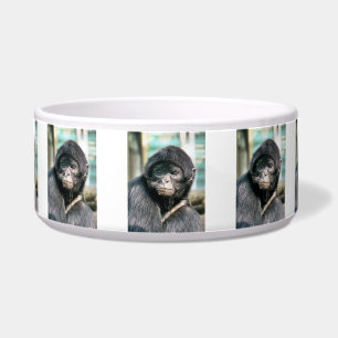 MONKEYS NAPF