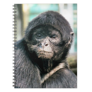 MONKEYS NOTIZBLOCK