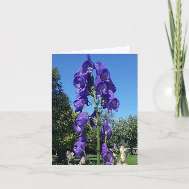 Monkshood-Blues Karte (Vorderseite)