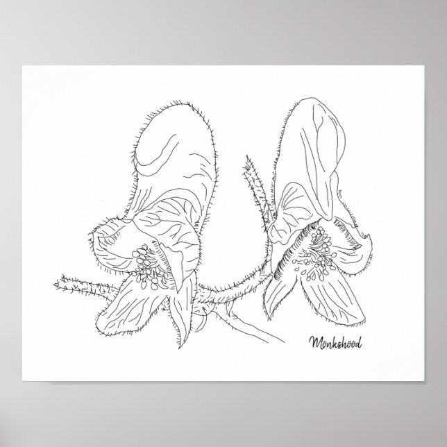 Monkshood Illustration Poster (Vorne)