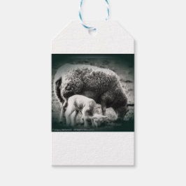 Mono-Bild für Schafe und Lämmer Geschenkanhänger