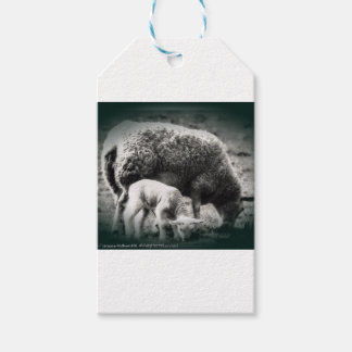 Mono-Bild für Schafe und Lämmer Geschenkanhänger