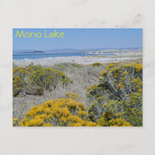 Mono Lake, CA Postkarte