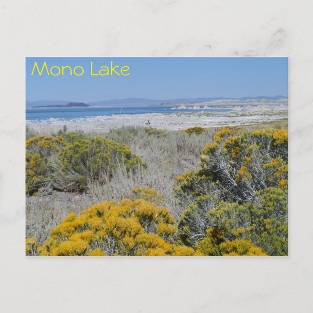 Mono Lake, CA Postkarte (Vorderseite)