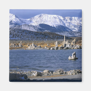 MONO LAKE TUFA STAAT NATURRESERVE, MAGNET