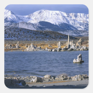 MONO LAKE TUFA STATE NATURAL RESERVE, QUADRATISCHER AUFKLEBER