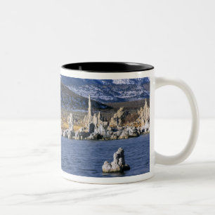 MONO LAKE TUFA STATE NATURAL RESERVE, ZWEIFARBIGE TASSE