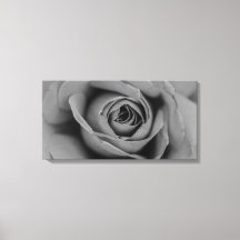 Monochromatische Rose Canvas Print