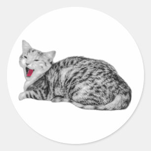 Monochrome Aufkleber mit rotem Tong für Tabby-Katz