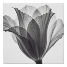 Monochrome botanical fine art photograph künstlicher leinwanddruck