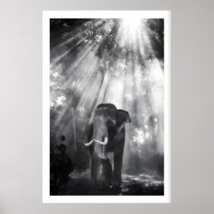 Monochrome Elefanten-Wandkunst, Naturfoto (Wohnen Poster