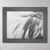 Monochrome Flamingo Feathers Printable Art