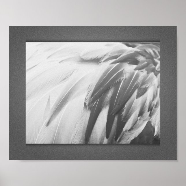 Monochrome Flamingo Feathers Printable Art Poster (Vorne)