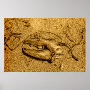 Monochrome-Hummerklauen-Strand-Fotoplakat Poster