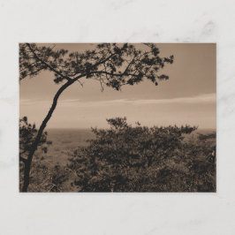 Monochrome Landschaftsfotos Postkarte