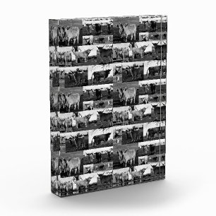 Monochrome Majestät: Eine Hochland-Kuh-FotoCollage Fotoblock