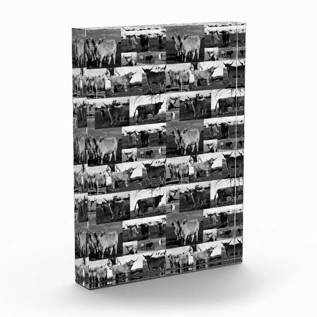 Monochrome Majestät: Eine Hochland-Kuh-FotoCollage Fotoblock (Links)