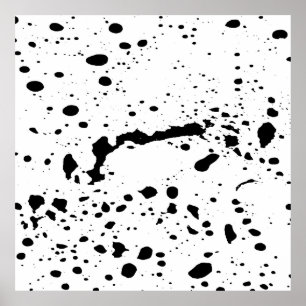 Monochrome Mirage Poster