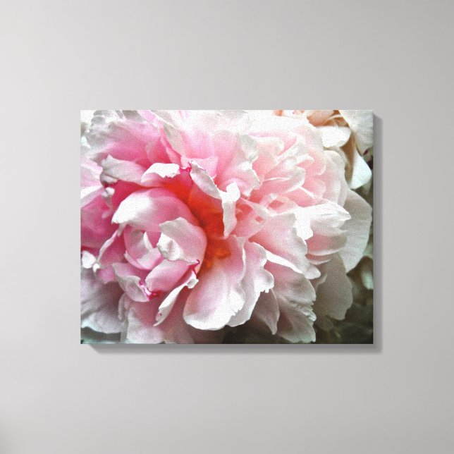 Monochrome Peony-Foto Leinwanddruck (Vorderseite)
