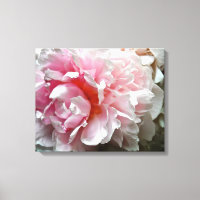 Monochrome Peony-Foto