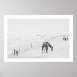 Monochrome Schwarz-weiße Landschaft Wildpferde Poster