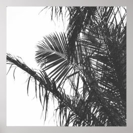 Monochrome Schwarz-weiße Palm Tree-Blätter Poster